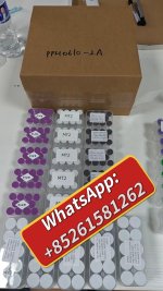 WhatsApp Image 2026-06-11 at 9.08.58 AM.jpeg